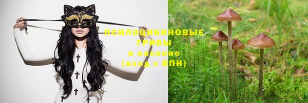 синтетический гашиш Нязепетровск