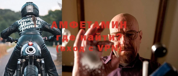 дживик Няндома