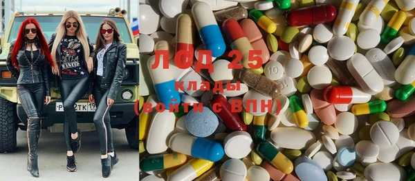 дживик Няндома