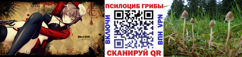 Купить закладки  Ильский  Галлюциногенные грибы Magic Shrooms 